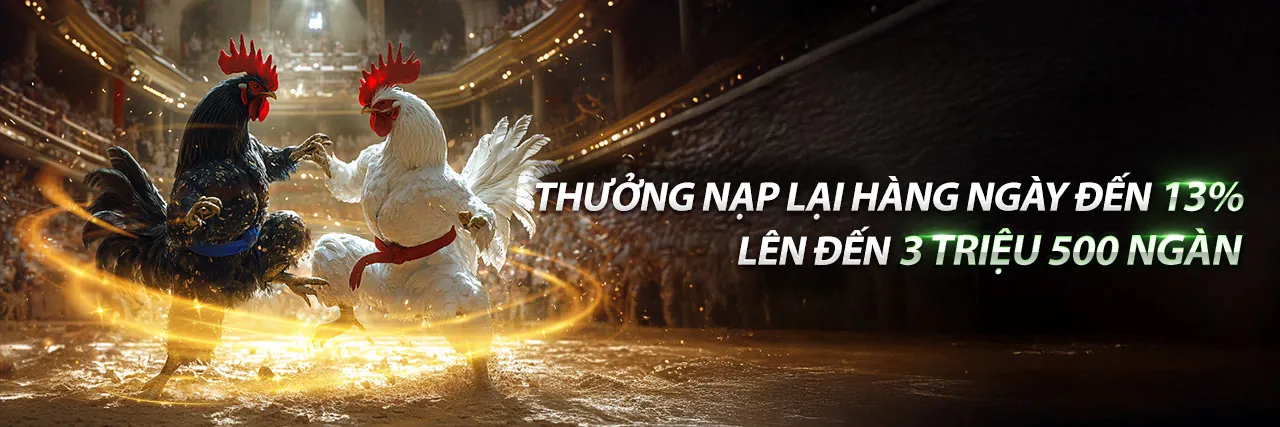 Hình ảnh chính về cá cược thể thao sv88tv app